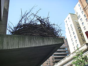 Whitney museum entrance