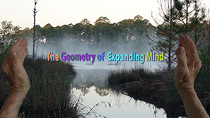 Title page of the 2018 movie, 'The Geometry of the Expanding Mind'
