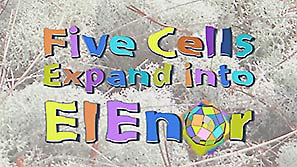 Title page of the 2014 movie, 'Five Cells Expand into EIEnor'