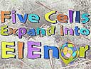 5 cells expand into EIEnor
