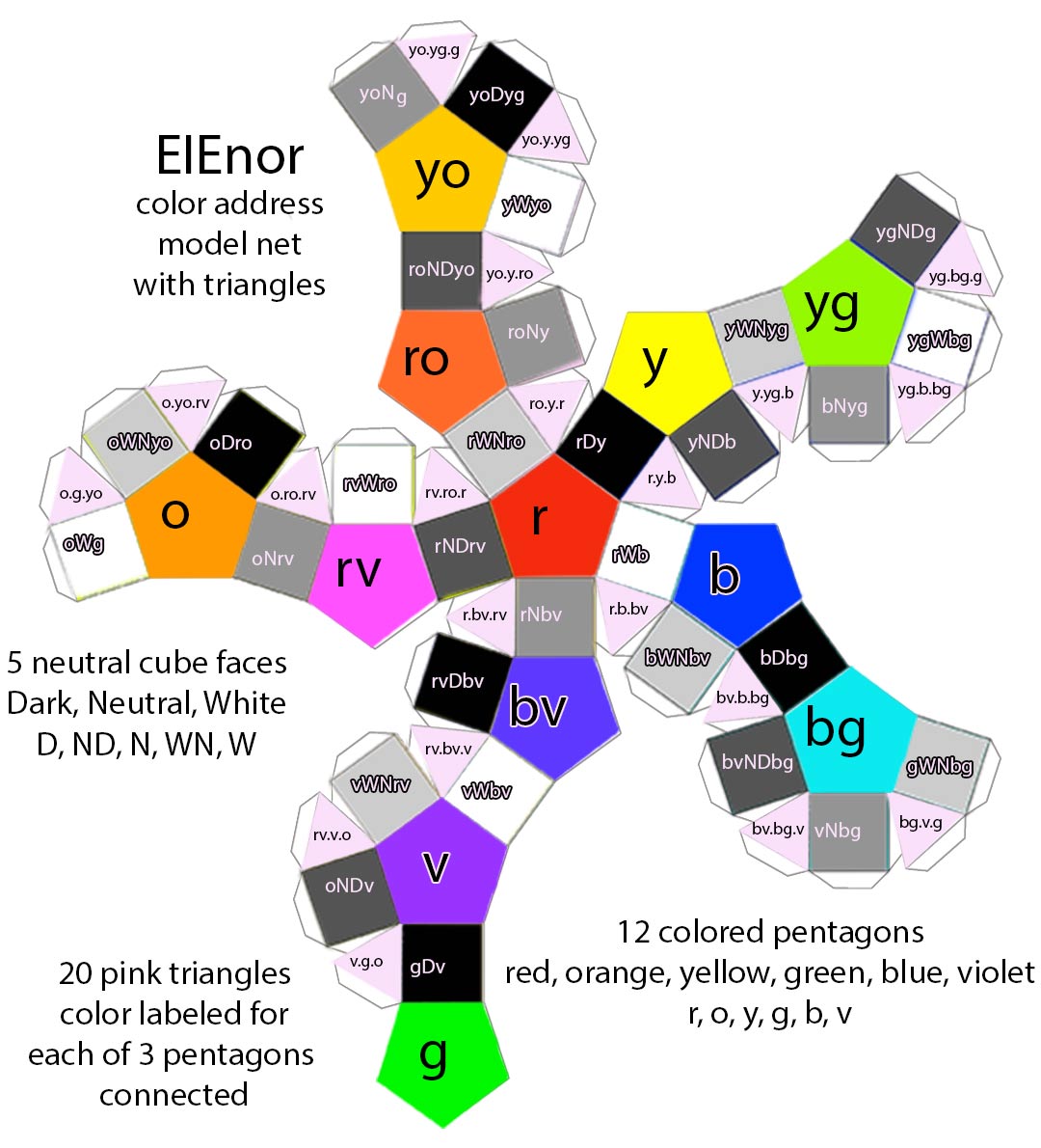EIEnor WholeOOsphere model net