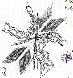 Detail of 12-18-1975 journal page