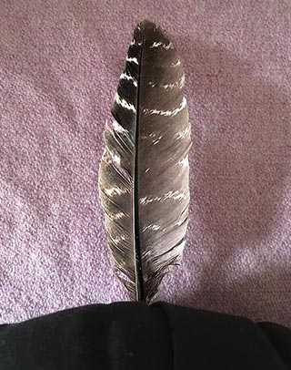Feather power