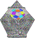 Scruffrug evolving, 2016-01-27