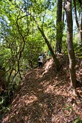 Going way up hill