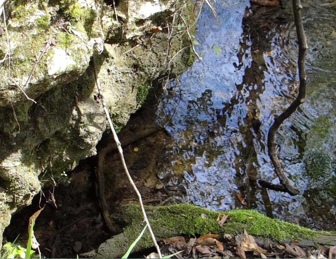 Limestone Release