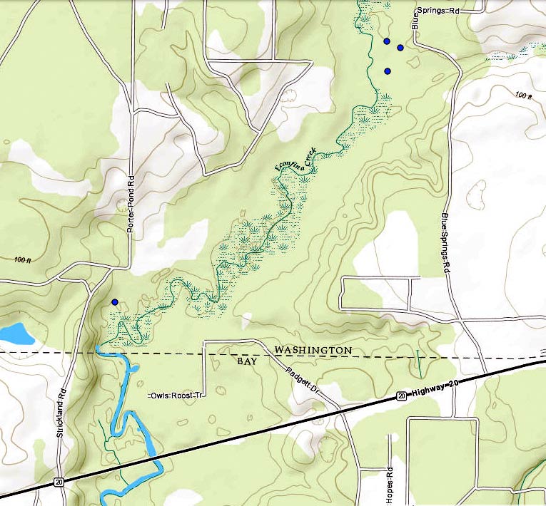 Map of Blue Springs and Williford Spring on econfina Creek 2016