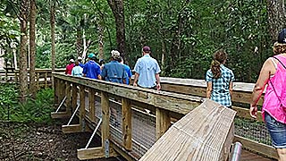 Raised boardwalk