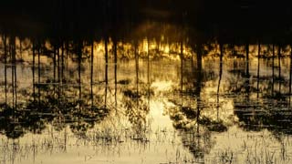 Sunset reflection in Sand Pond