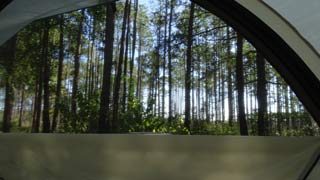 In tent view
