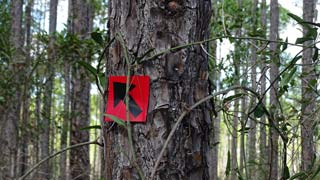 Campground Trail marker overgrowth