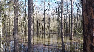 Flooded on 1-5-2017