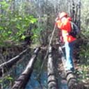 Florida Trail: CRS Cypress Creek crossing 2010-12-02, 2015-12-14