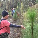 Florida Trail: CRS N section work day 11-13-2016, 2016-11-23