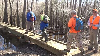 Creek boardwalk - dry 2/04/2017, #6