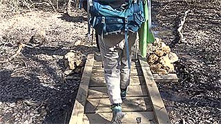 Creek boardwalk - dry 2/04/2017, #10