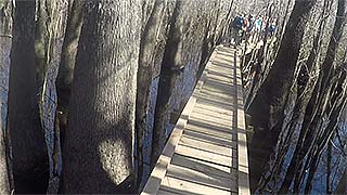 Creek  boardwalk - dry 2/04/2017, #8
