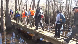 Creek boardwalk - dry 2/04/2017, #7