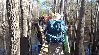 Creek boardwalk - dry 2/04/2017, #9