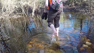Creek boardwalk - flooded 1/14/2017, #10