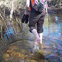 First hike at new Florida Trail section (CRS), 2017-02-08