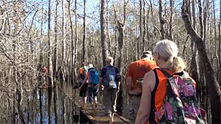 Creek boardwalk - flooded 1/14/2017, #7