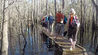 Creek boardwalk - flooded 1/14/2017, #9