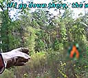 Florida Trail: Work Gathering at Pine Log State Forest, 2015-11-25