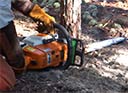 Florida Trail: Logging Out the Hwy 331 expansion