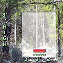 Florida Trail: Clearing Limits for cutting trail