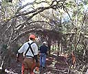 Cutting a new section of the Florida Trail