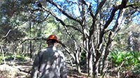Vimeo thumbnail for 331 Expansion teaser