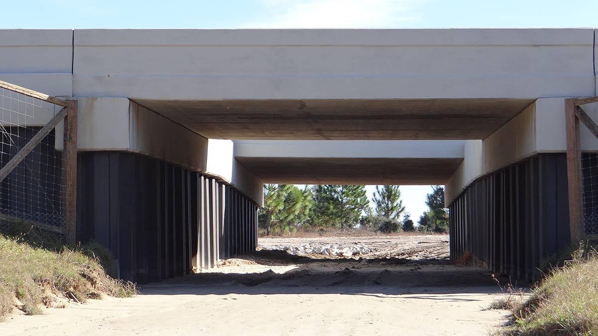 Any wildlife coming from the east under the bridge?