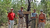 honored veteran volunteers