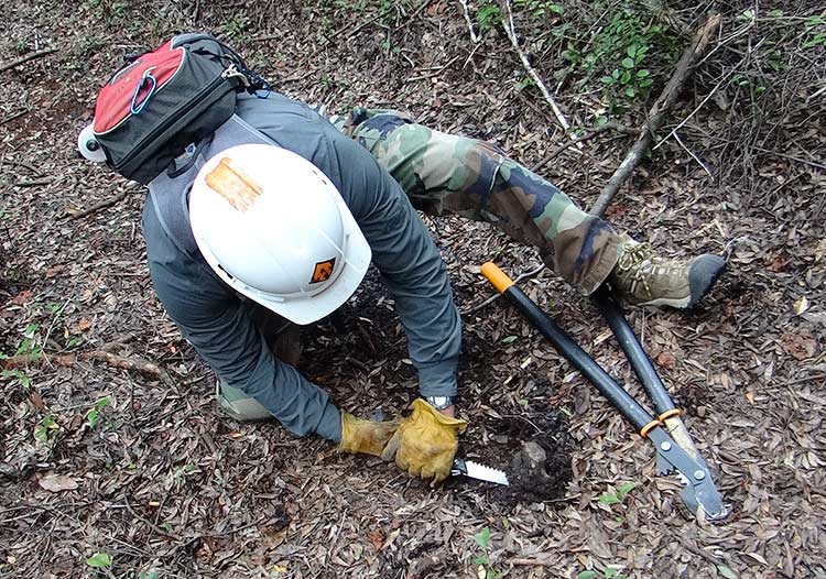 Bruce grubbing a stob with a pocket saw and loppers