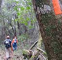 Blazing on the Florida Trail and meeting thru-hikers