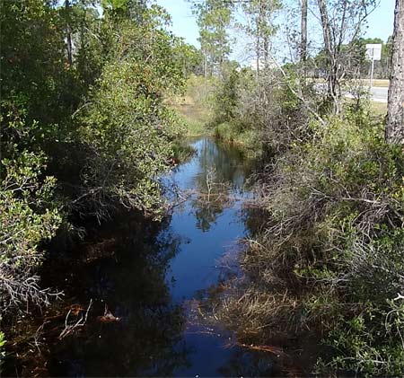 South end of the Creek Path