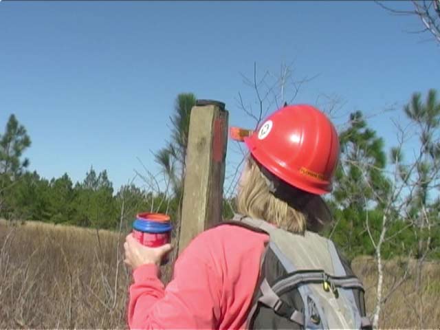 Florida Trail blaze on a post