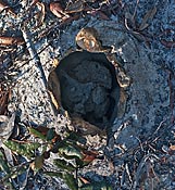 biggest earthball to date 12-9-2010