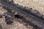 truck tire rut