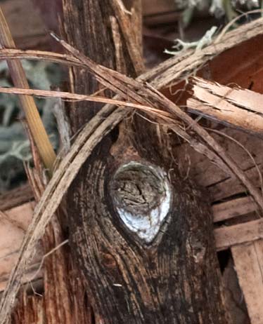 Eye altar
