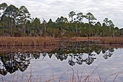 Deer Lake north