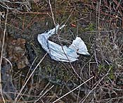 lasting toxic trash