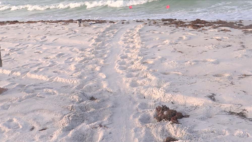 Looking back at the Gulf of Mexico