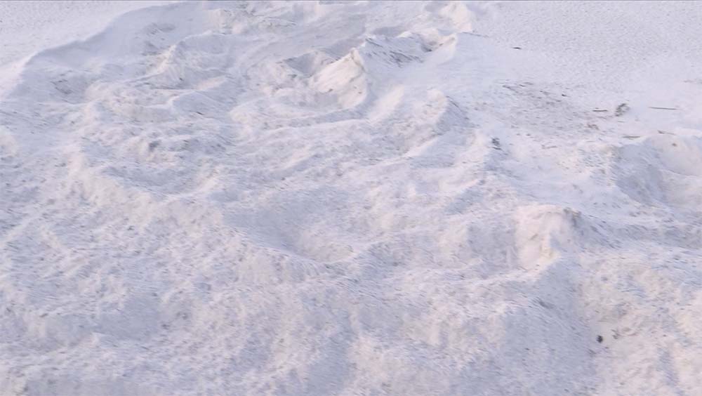 Turtle nest top, well camoflaged