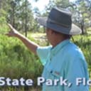 Orchid Tour video 5 in Deer Lake State Park, 2016, 2016-09-14