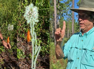 Orchid Tour, August, 2016