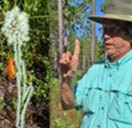 Orchid Tour in Deer Lake State Park, 2016-09-07