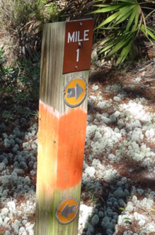 Mile 1 post for orange trail in Deer Lake State Park, Florida