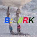 Bird ID band description